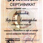 Гитарный сертификат Андросова